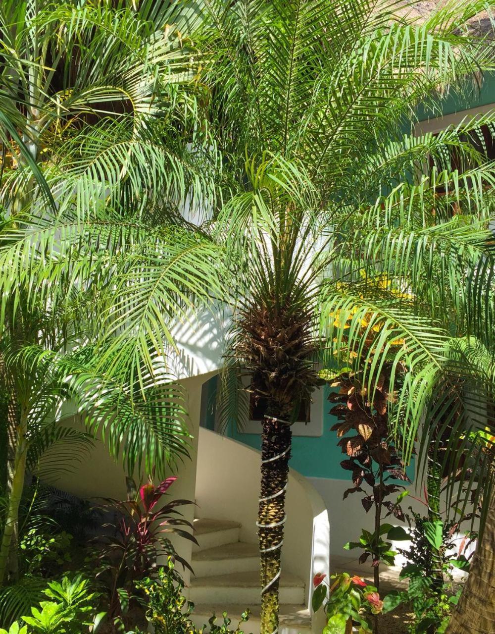 Toto Blue Hotel Boutique Bacalar Εξωτερικό φωτογραφία